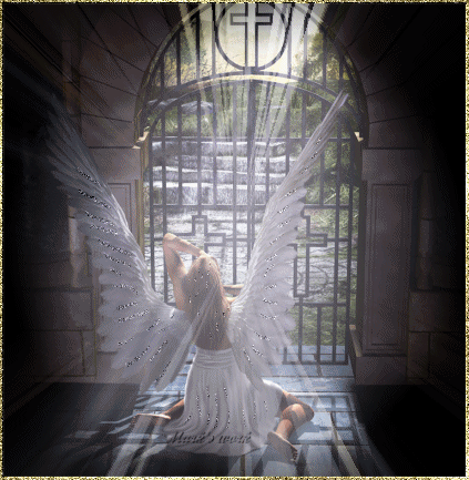 Foro gratis : Tu angel - Portal Angel+LIGHT