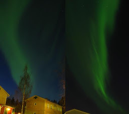 Polarlichter in Umeå