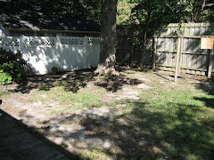 backyard before