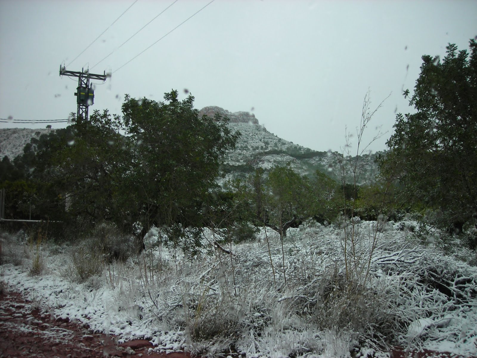 [DSCN3561.JPG]