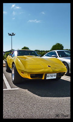 Corvette+jaune.jpg