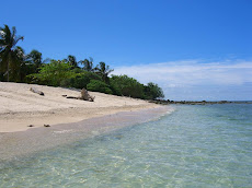 SELINGAN Island, Sabah