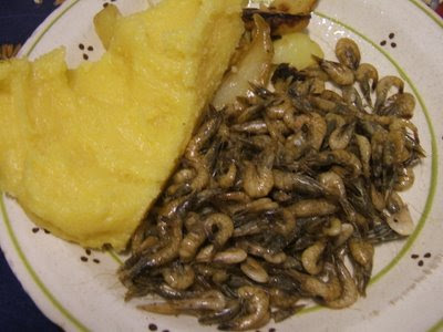 si mangia si mangia