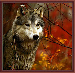 Stryker~Scott's Wolf