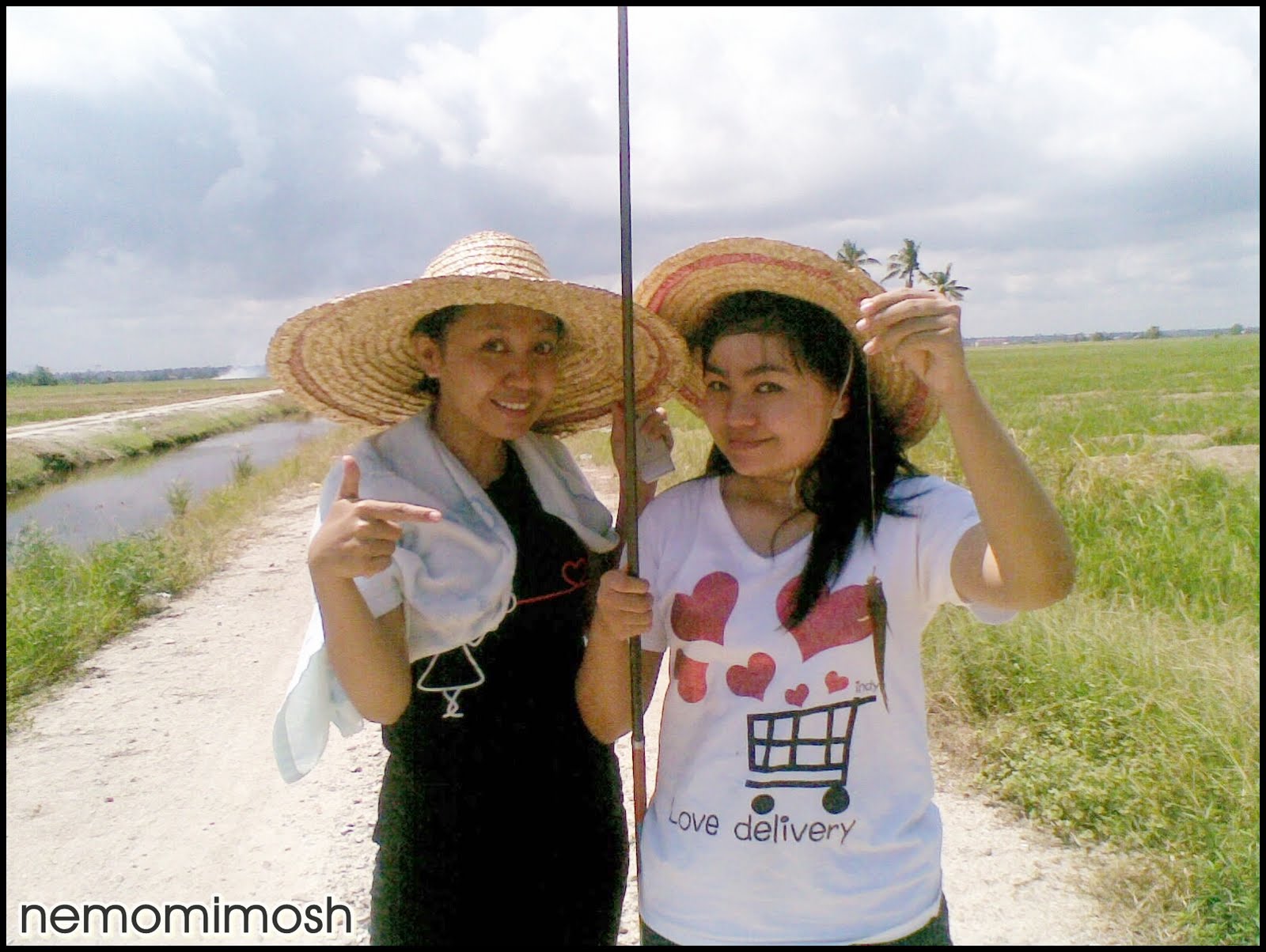 anak haruan