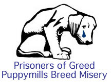 Read more examples of Puppy Mills