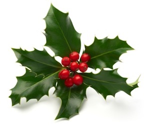 days of midwinter bringing hope of renewed life to the darkest days of the year says sophie jackson in her wonderful book the medieval christmas - Christmas Greens days of midwinter bringing hope of renewed life to the darkest days of the year says sophie jackson in her wonderful book the medieval christmas - Christmas Greens