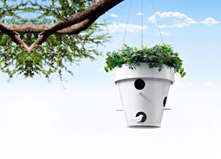 Modern Bird House