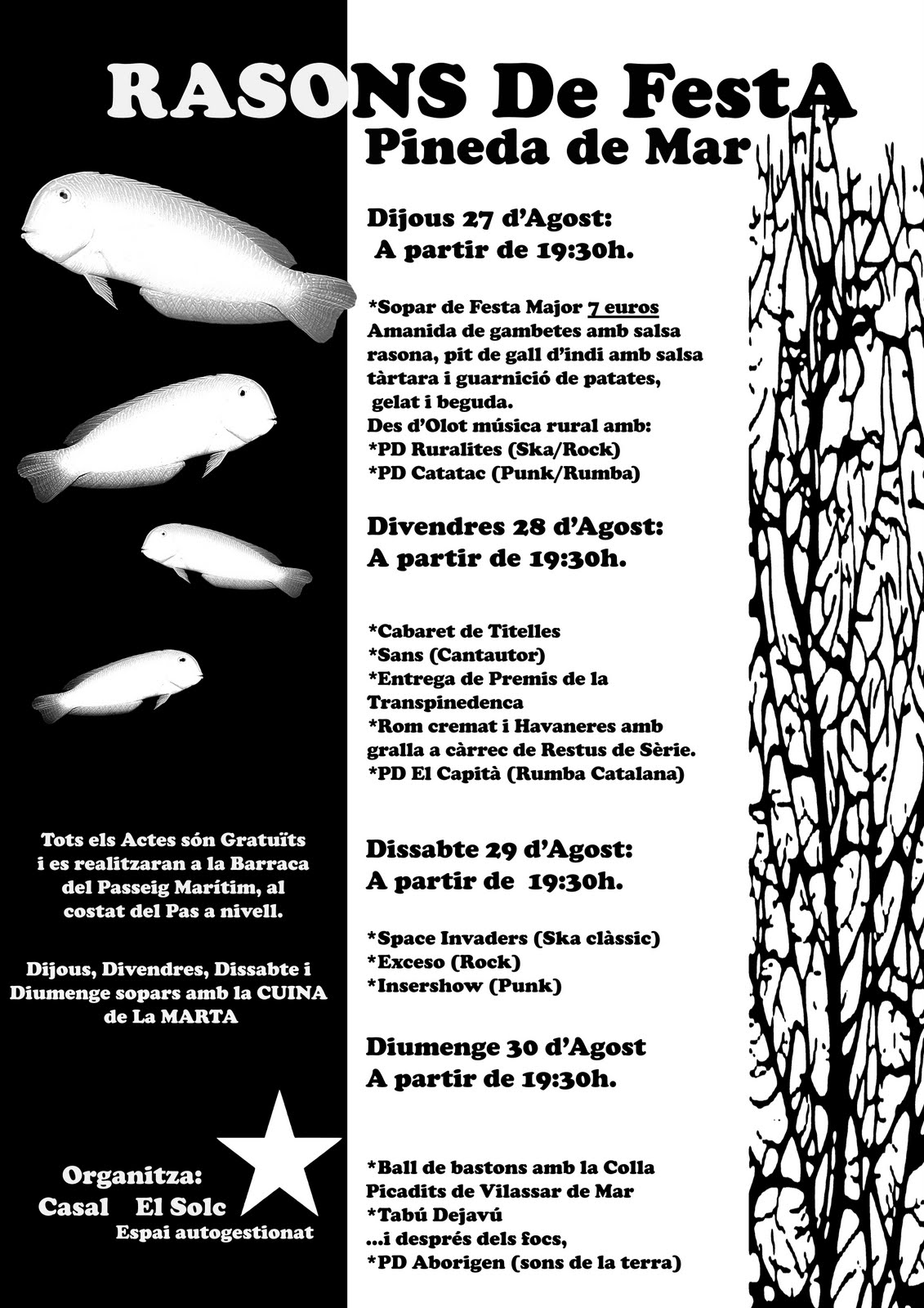 [cartell+RASONS+b-n.jpg]