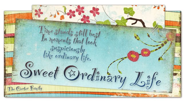 Sweet Ordinary Life