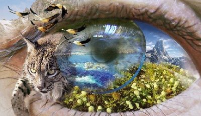 El ser humano y la Naturaleza El ser humano y la Naturaleza