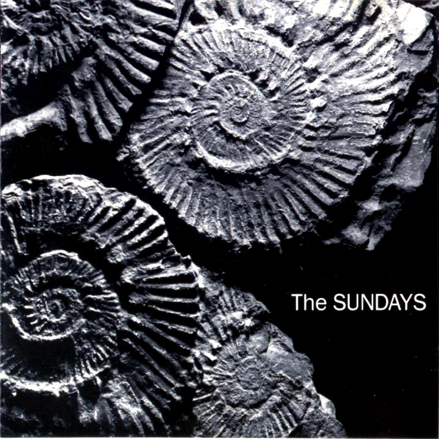 THE SUNDAYS-SKIN BONESwmv - YouTube