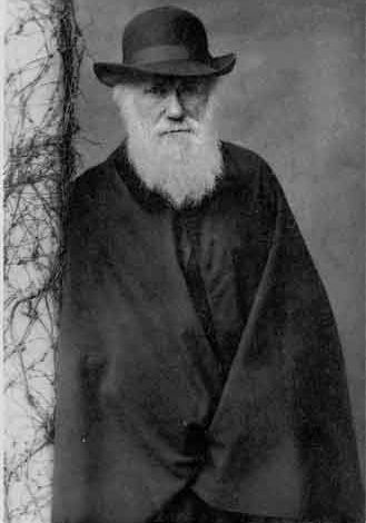 [darwin1.jpg]