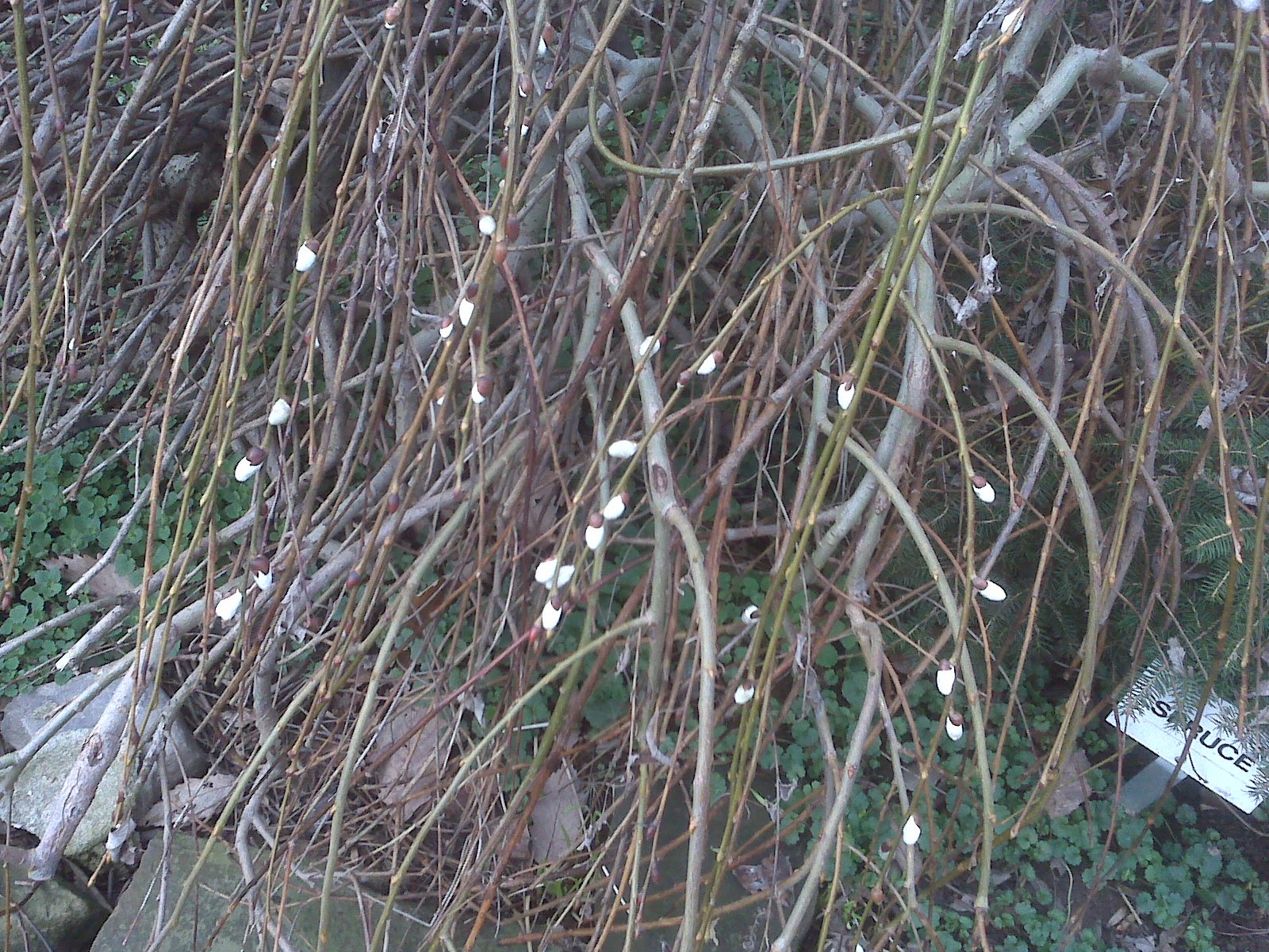 [=?utf-8?B?SU1HMDAxOTguanBn?=-738276]