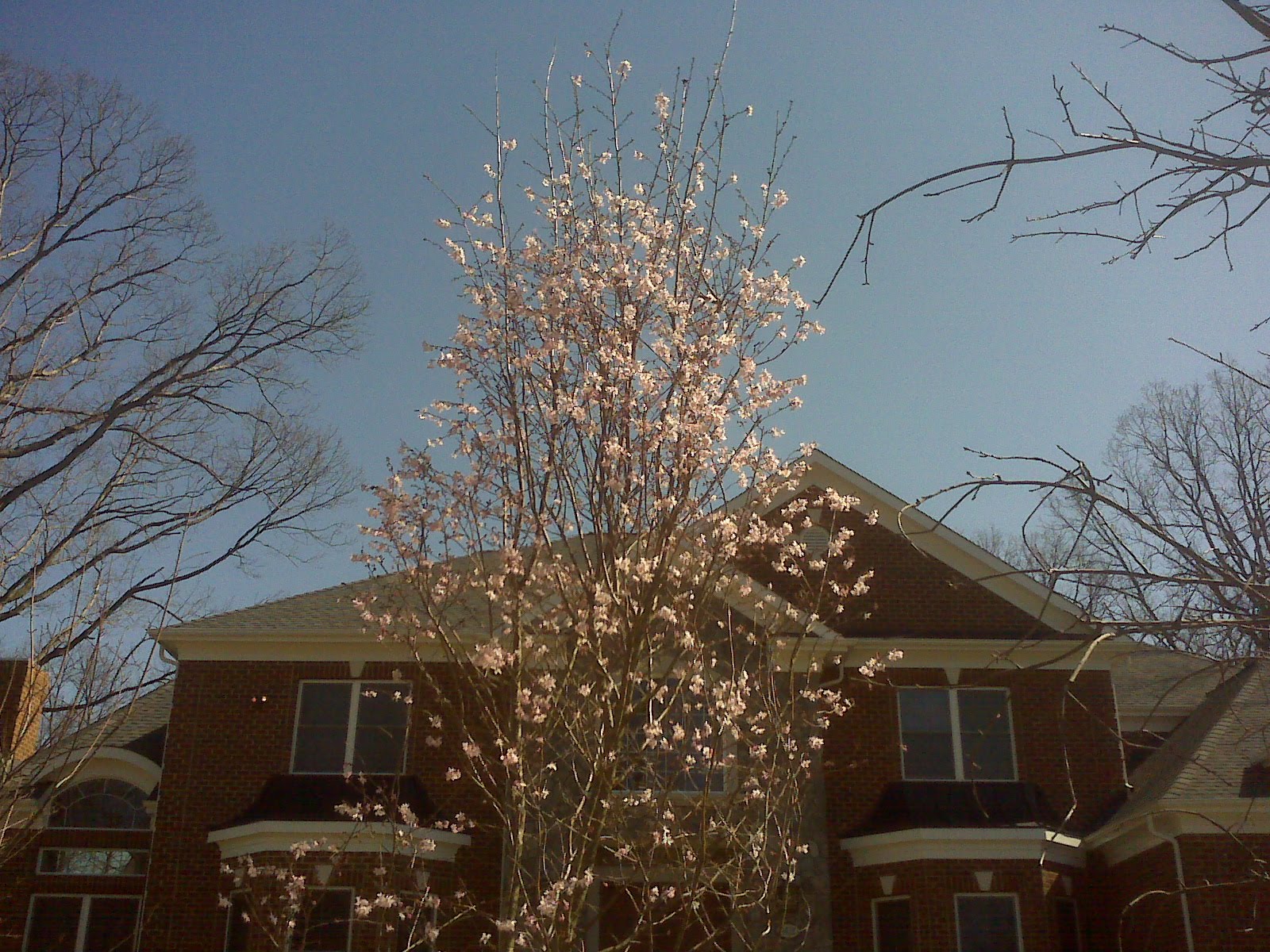 [=?utf-8?B?SU1HMDAyMzcuanBn?=-753355]