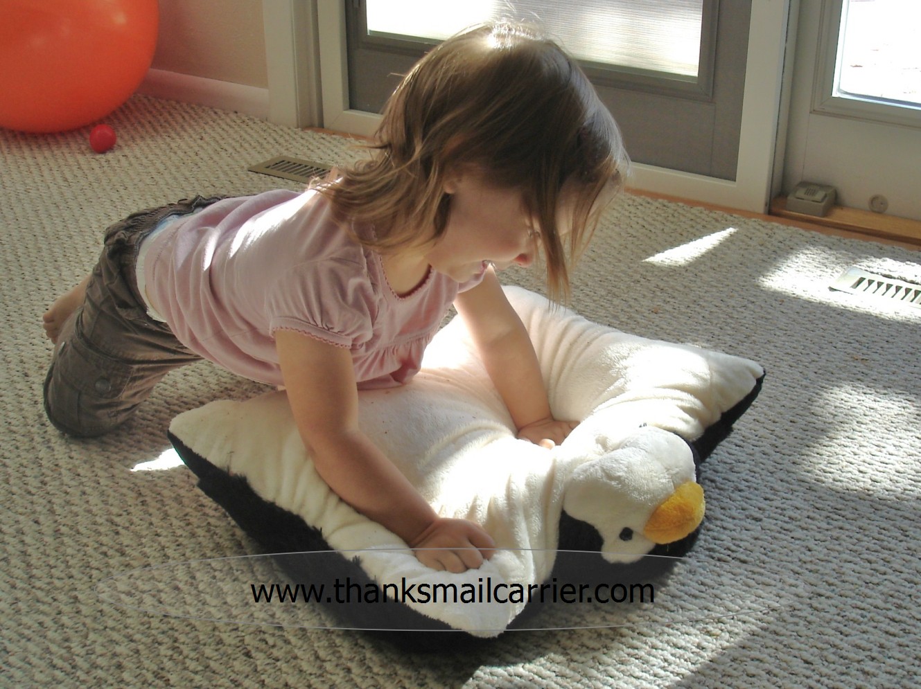 Thanks, Mail Carrier My Pillow Pets {Review & Giveaway} Nothing