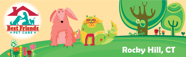 Best Friends' Rocky Hill Blog