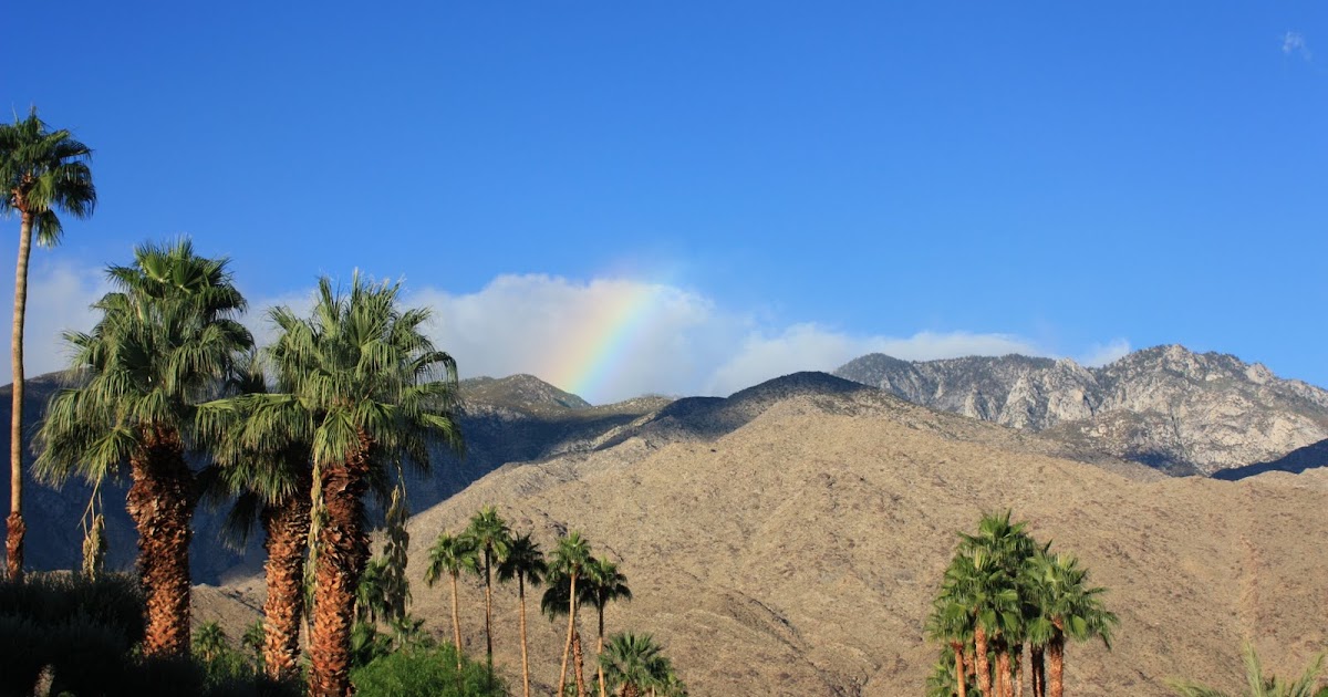 tiny BUBBLES walkabout palm springs