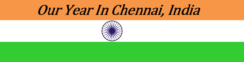 Our Year in Chennai, India