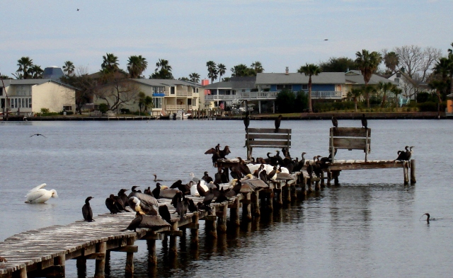 [DSC00271.JPG]