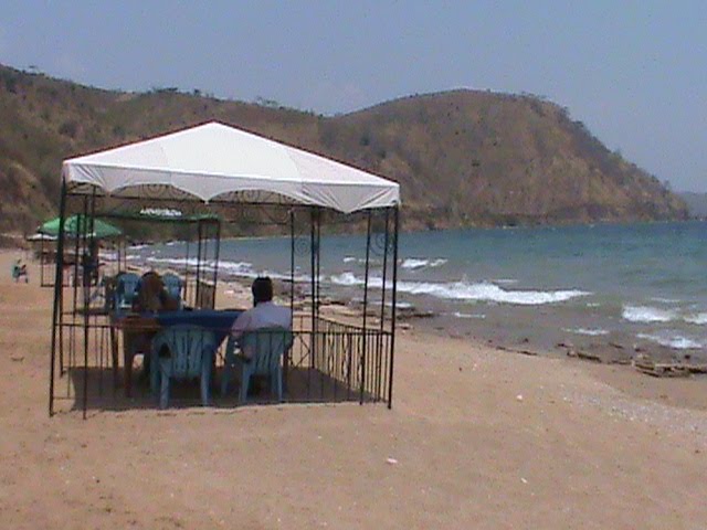 [DSC00060.JPG]