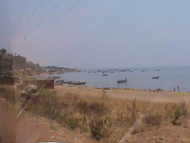 [DSC00056.JPG]
