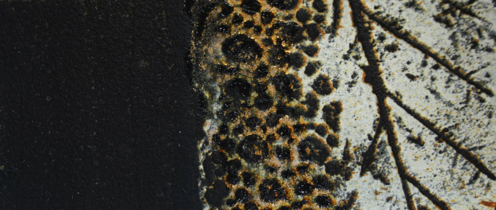 [IMG_4445_edited.jpg]