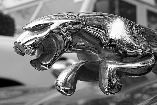 Jaguar Logo - Cars Logos