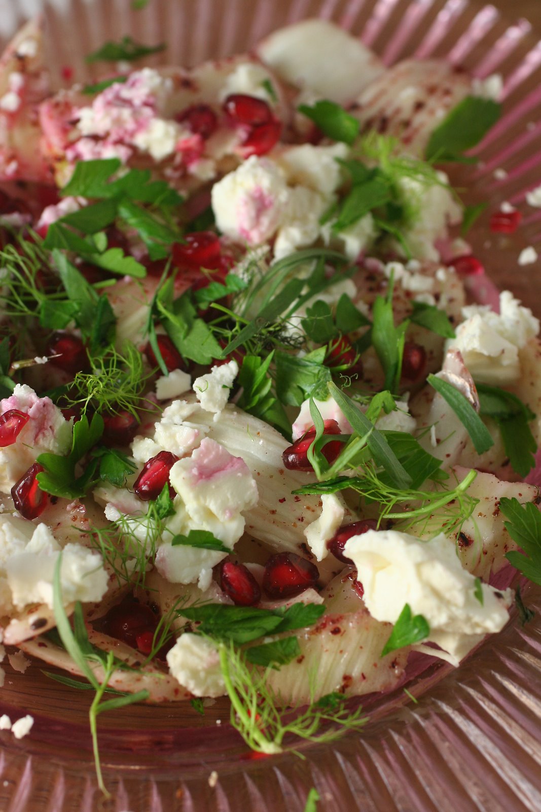 [fennel+salad.jpg]