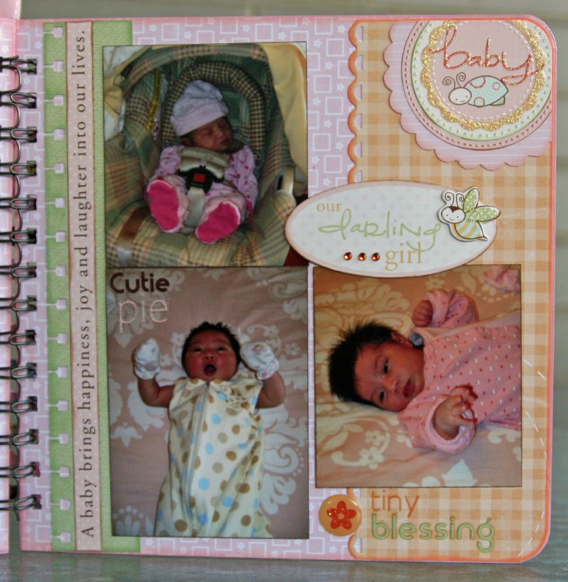 what, me blog? a sweet baby girl minibook for a sweet baby girl!