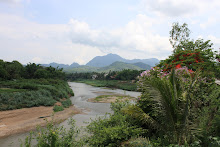 Views of the Mekong