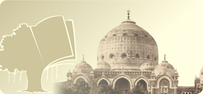 Msu Baroda