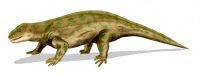 Diadecte