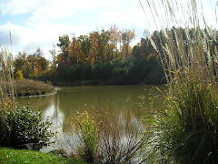 View from the pumphouse (home)