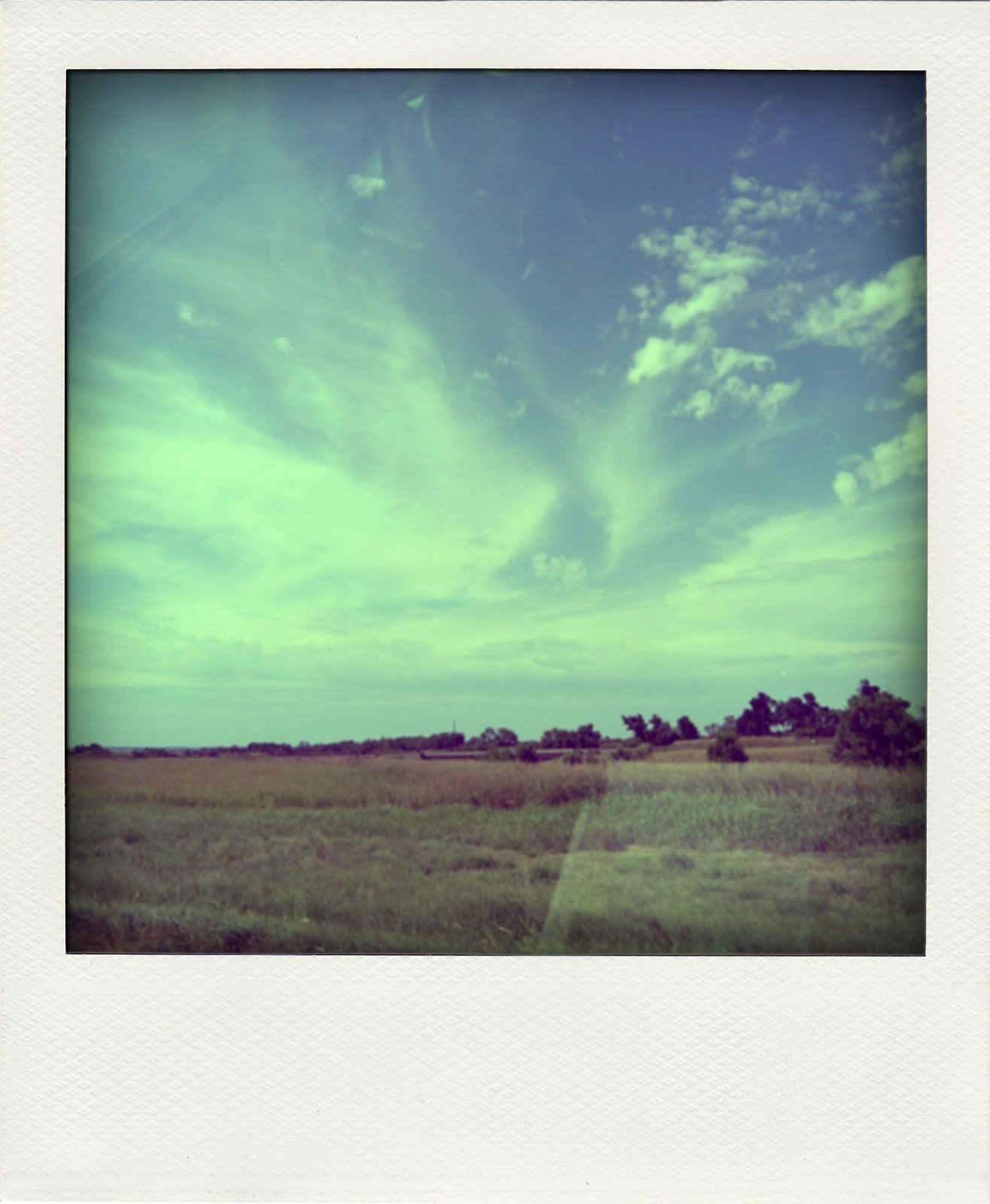 [5-P1010715-pola.jpg]