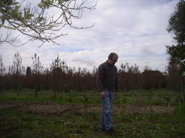 [PICT0335.JPG]