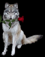 wolf.gif