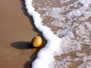 Before the Wave Crashes