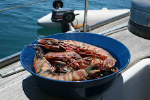 Queensland Prawns