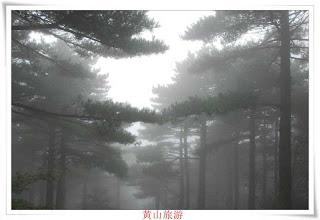 Mount-Huangshan-22