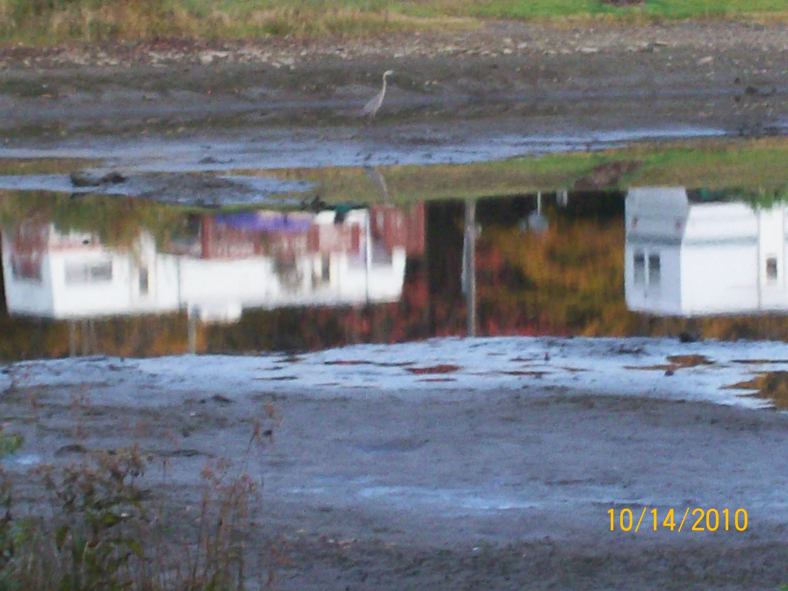 FOREST LAKE CAMPGROUND, TRUXTON, NEW YORK