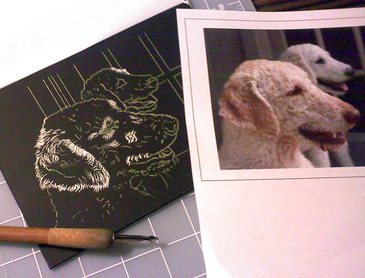 Brad Albright Illustration Blog Dog Portrait Scratchboard Tutorial pt 3