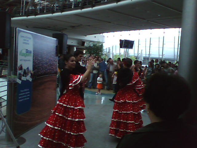 IMAGENS, flamenco no c.c.v.g
