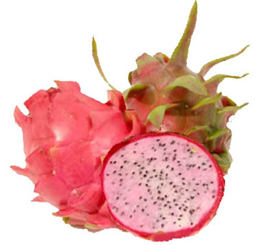 buah naga