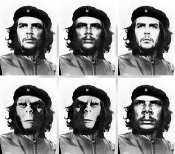 evolution of Che