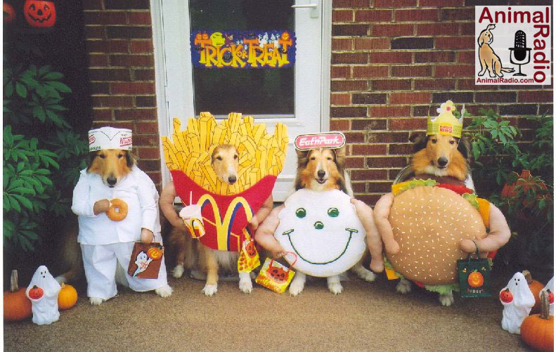 [pet+big+halloween.jpg]