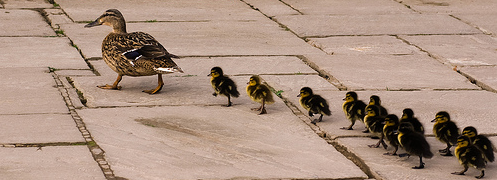 [Screen+shot+2009-09-11+at+2.14.53+PM.png]