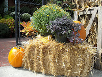 Hester and Zipperer Lawn & Garden