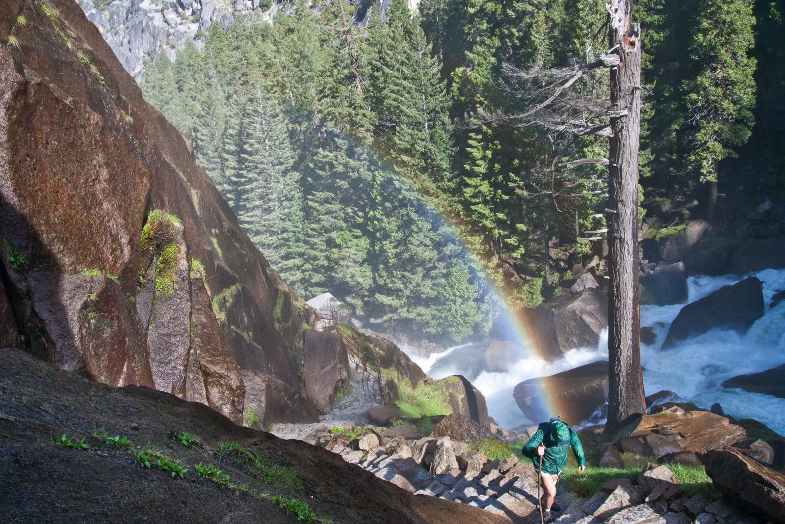 [Yosemite+(19+of+113).jpg]