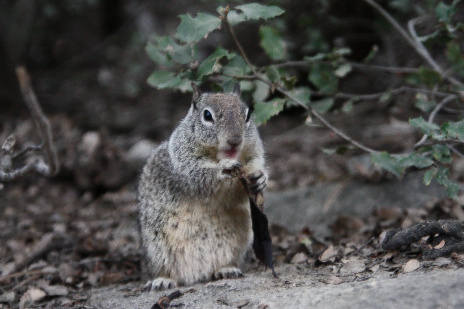 [Yosemite+(39+of+113).jpg]